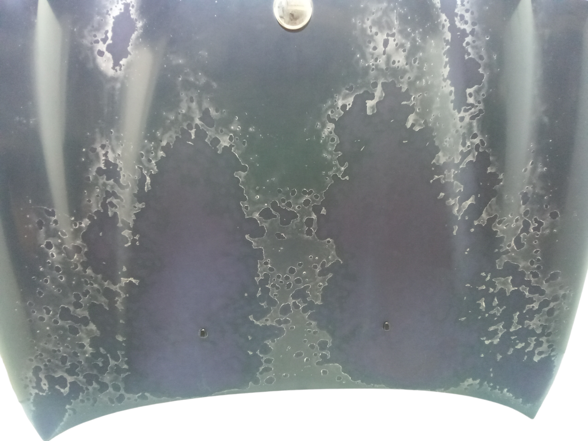 Cofano Anteriore per Jaguar S-type 1 Serie (1999 - 2002)