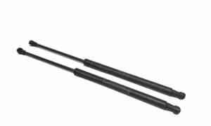 Pistoncini cofano Post. per Fiat 500 Serie (07>14) (2007 - 2014)