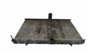 Radiatore acqua per Fiat Scudo 3 Serie (2007 - In produzione)