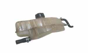 Vaschetta liquido radiatore per Renault Grand Modus 1 Serie (2008 - In produzione)