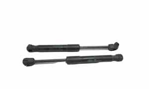 Pistoncini cofano ant per Alfa Romeo Stelvio Serie (949_) (16>) (2016 - In produzione)