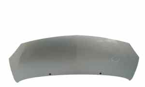 Cofano Anteriore per Renault Twingo Ii Serie  (07>14) (2007 - 2014)