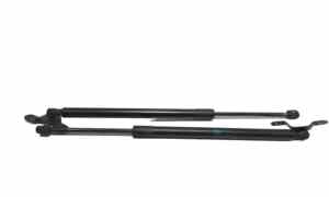 Pistoncini cofano Post. per Land Rover Range Rover Evoque Serie (18>) (2018 - In produzione)