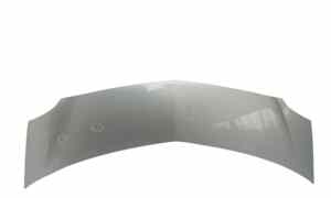 Cofano Anteriore per Renault Modus 2 Serie (2006 - In produzione)