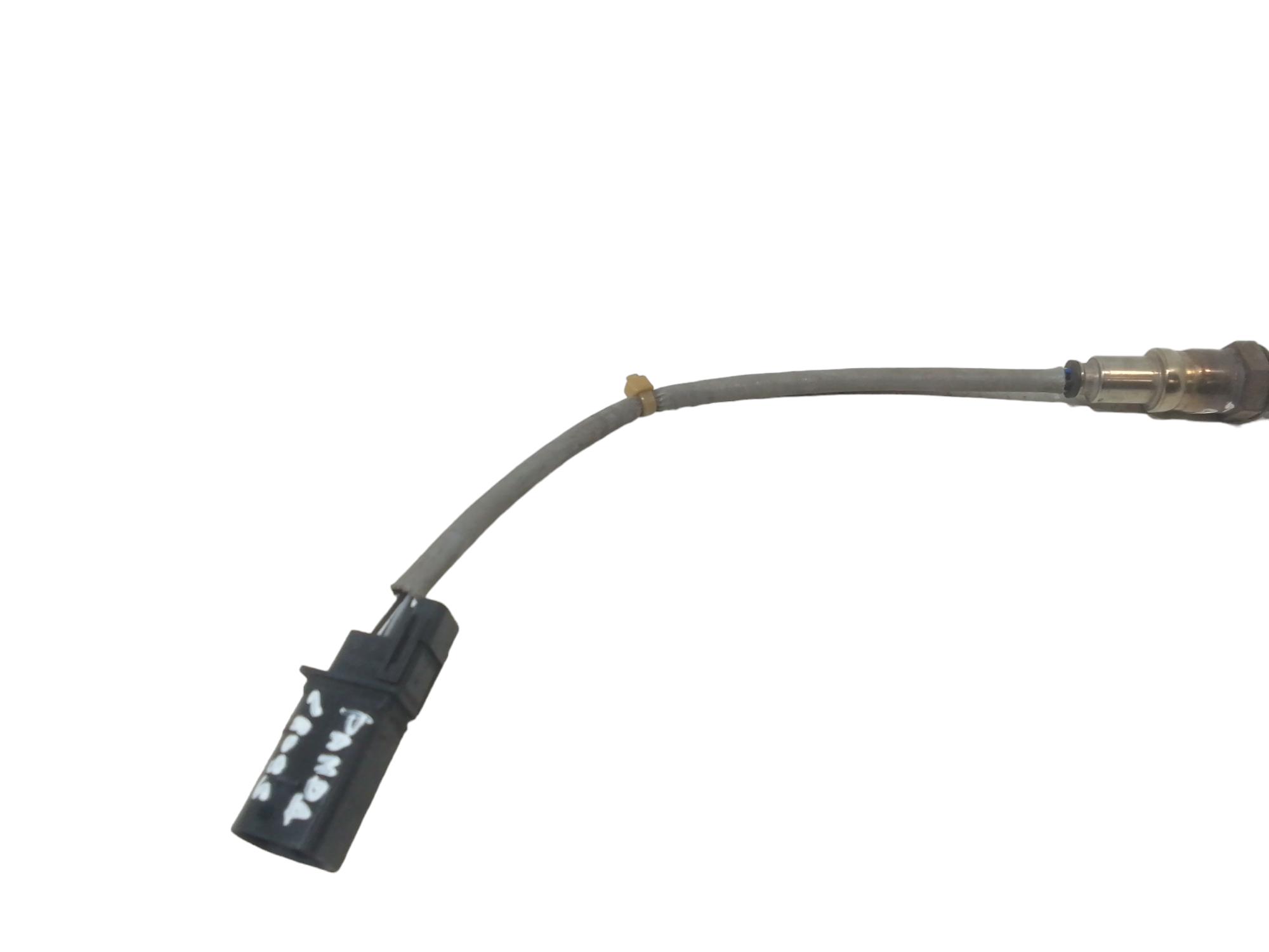 Sonda Lambda per Fiat Panda Cross Hybrid (2022 - )