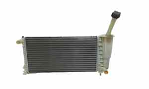 Radiatore acqua per Fiat Punto Berlina 5p 3 Serie (2003 - In produzione)