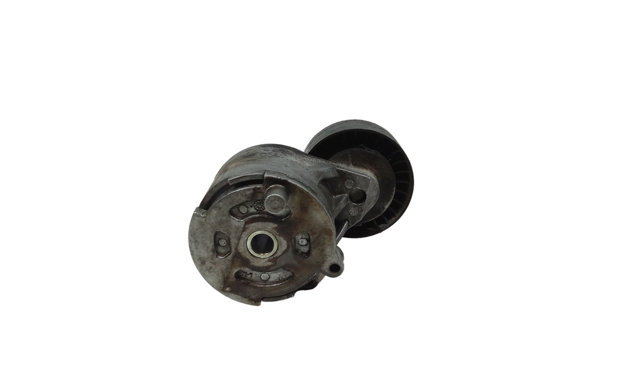 Tendicinghia per Fiat Dobl Serie (09>) (2009 - In produzione)