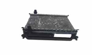 Radiatore acqua per Bmw X3 Serie M Competition (510cv) (g01,f97) (3.2019>) (2019 - In produzione)