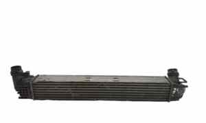 Intercooler per Dacia Duster 1 Serie (2010 - In produzione)