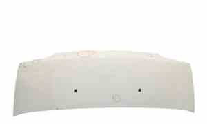 Cofano Anteriore per Iveco Daily 4 Serie (2006 - 2014)