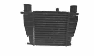 Intercooler per Renault Clio Serie (04>08) (2004 - 2008)