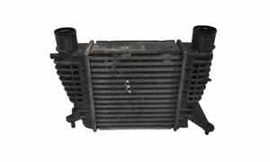 Intercooler per Renault Clio Serie (04>08) (2004 - 2008)