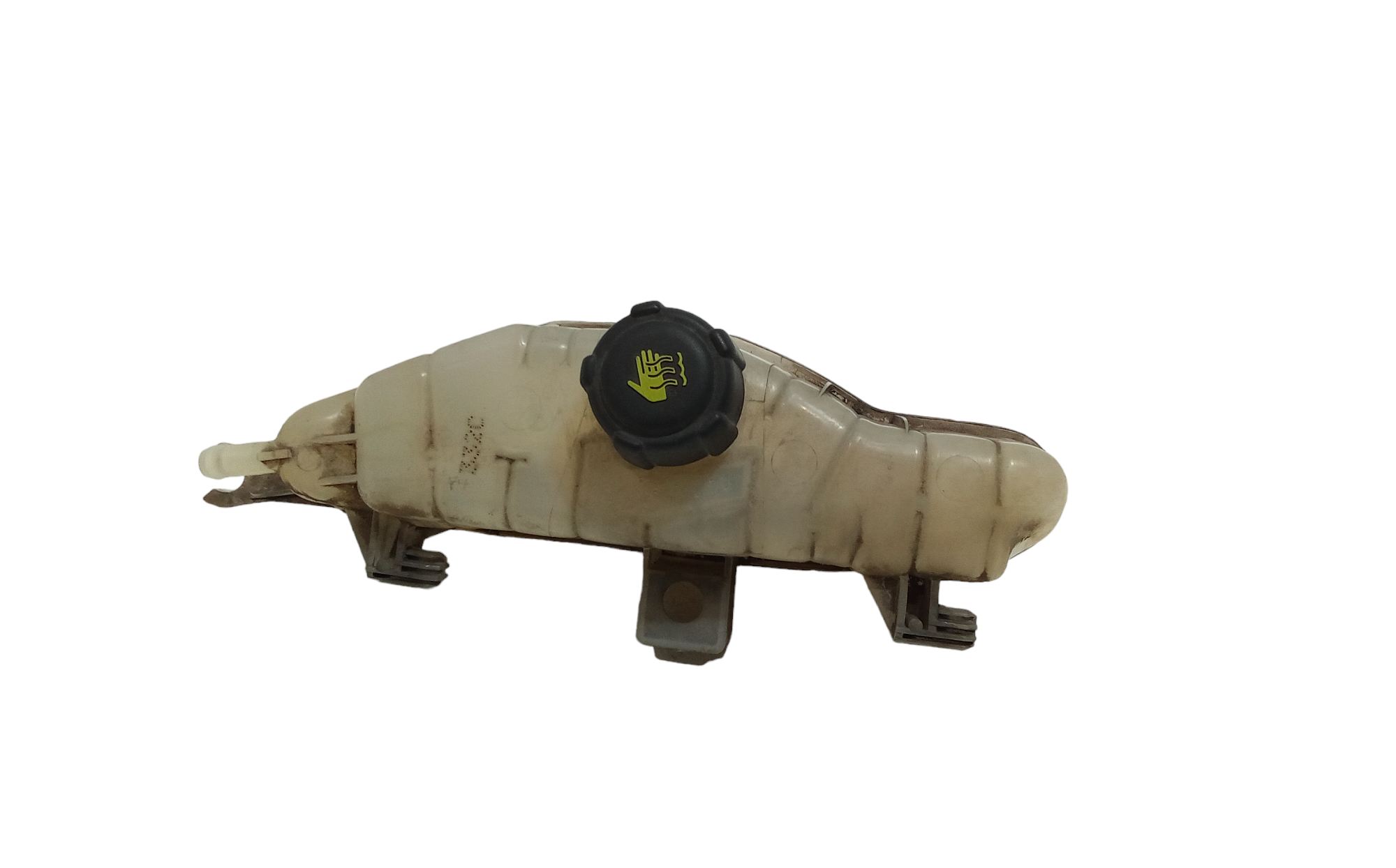 Vaschetta liquido radiatore per Renault Grand Modus 1 Serie (2008 - In produzione)