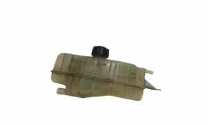 Vaschetta liquido radiatore per Renault Grand Modus 1 Serie (2008 - In produzione)