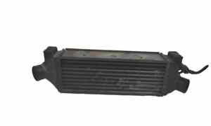 Intercooler per Ford Transit Serie (00>06) (2000 - 2006)