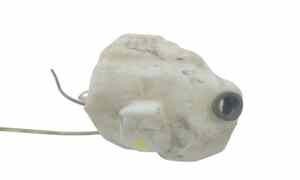 Vaschetta Tergi ant per Renault Scenic 3 Serie (2003 - 2006)