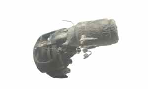 Pinza Freno Posteriore Destra per Iveco Stralis Serie (07>12) (2007 - 2012)