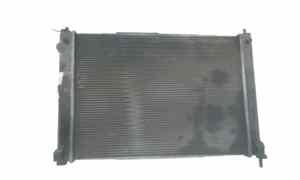 Radiatore acqua per Nissan Juke 1 Serie (2010 - 2013)
