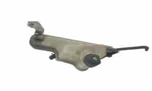 Vaschetta liquido radiatore per Nissan Juke 1 Serie (2010 - 2013)