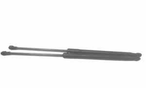 Pistoncini cofano Post. per Smart Fortwo Coup (453) (2014 - In produzione)