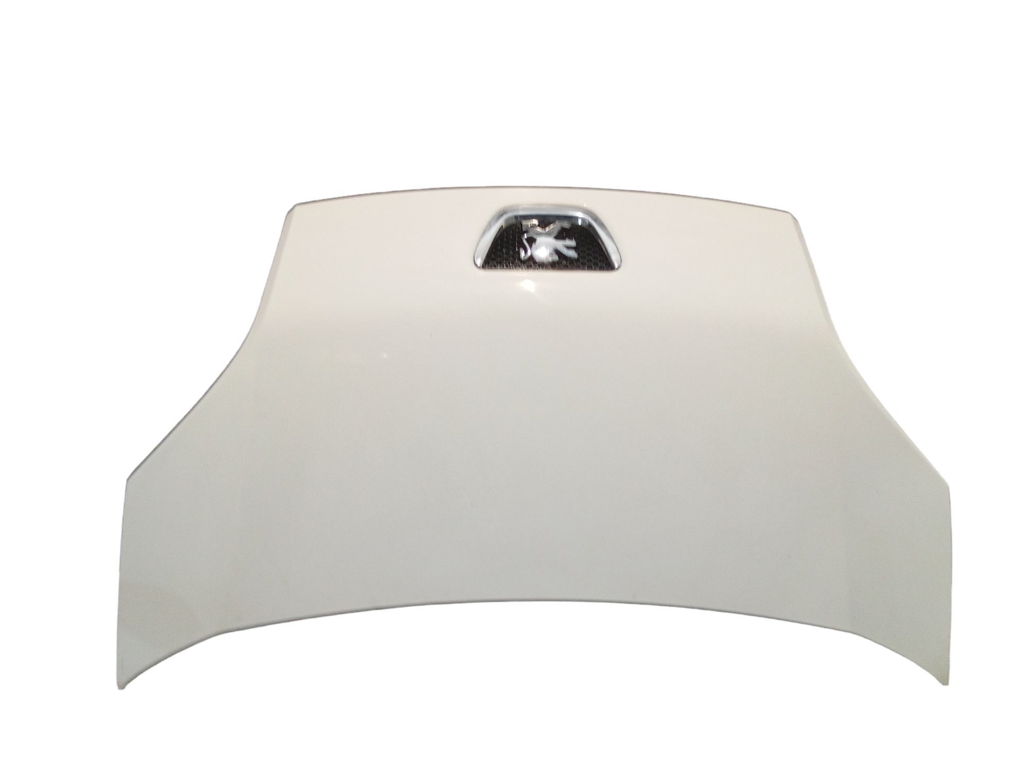 Cofano Anteriore per Peugeot Bipper 1 Serie (2007 - In produzione)