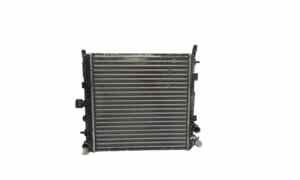 Radiatore acqua per Citroen C3 Serie (09>15) (2009 - 2015)