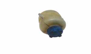 Vaschetta liquido radiatore per Ligier JS 50 (2018 - )