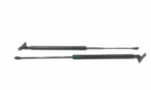 Pistoncini cofano Post. per Toyota C-hr Ibrida (16>) (2016 - In produzione)