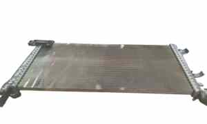 Radiatore acqua per Peugeot Bipper 1 Serie (2007 - In produzione)