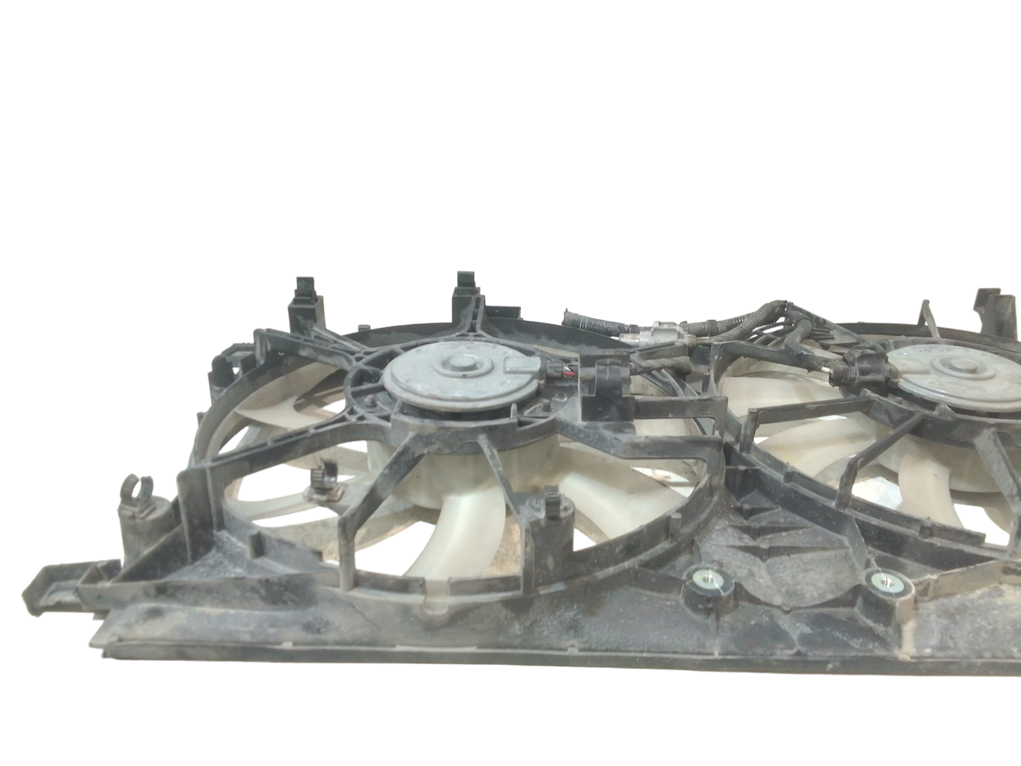 Elettroventola per Toyota C-hr Ibrida (16>) (2016 - In produzione)