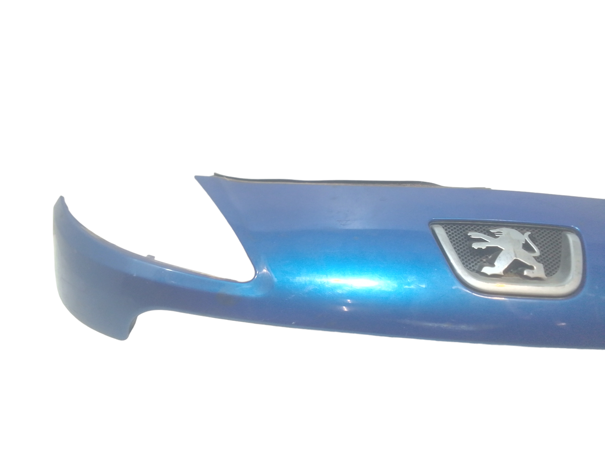 Griglia Anteriore per Peugeot 1007 1 Serie (2005 - In produzione)