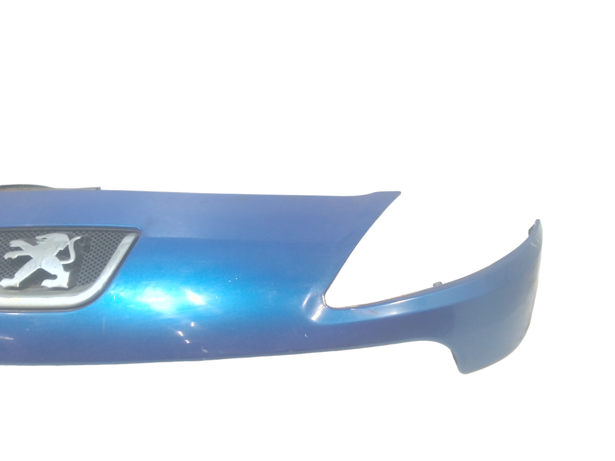 Griglia Anteriore per Peugeot 1007 1 Serie (2005 - In produzione)