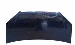 Cofano Anteriore per Fiat Dobl Serie (09>) (2009 - In produzione)