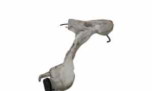 Vaschetta Tergi ant per Mini Cooper 3 Serie (2013 - In produzione)