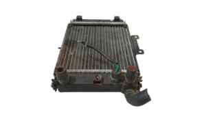 Radiatore acqua per Kymco Gran Dink 250cc (2004 - In produzione)