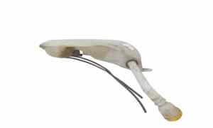 Vaschetta Tergi ant per Renault Scenic X Mod (2009 - In produzione)