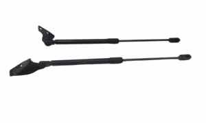 Pistoncini cofano ant per Suzuki Alto 3 Serie (2008 - In produzione)