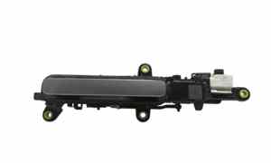 Maniglia esterna Posteriore Sinistra per Land Rover Range Rover Evoque Serie (18>) (2018 - In produzione)