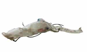 Vaschetta Tergi ant per Toyota Rav4 4 Serie (2005 - 2009)