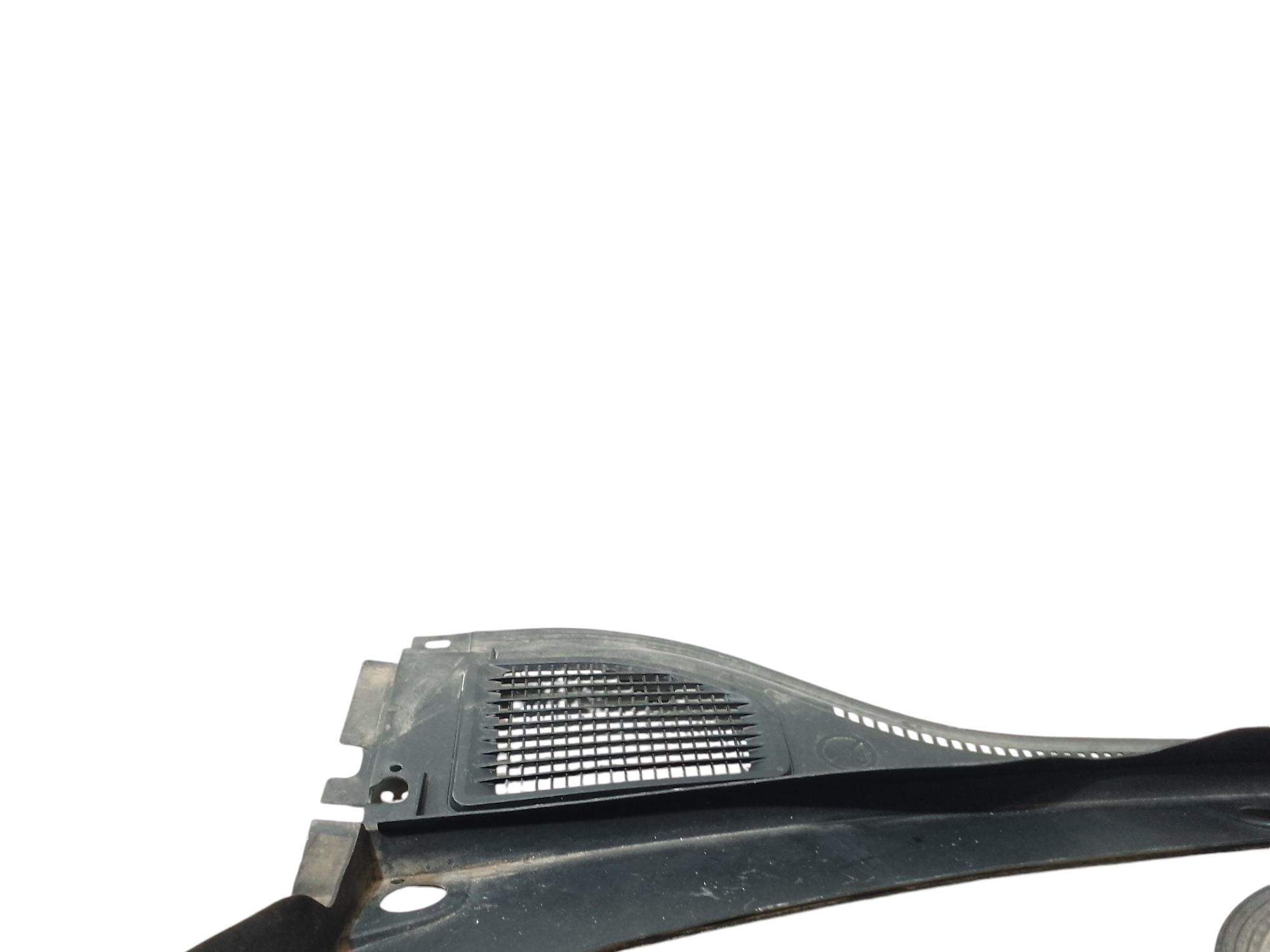 Griglia Gocciolatoio ant. per Volkswagen Golf Serie Viii (19>) (2019 - In produzione)