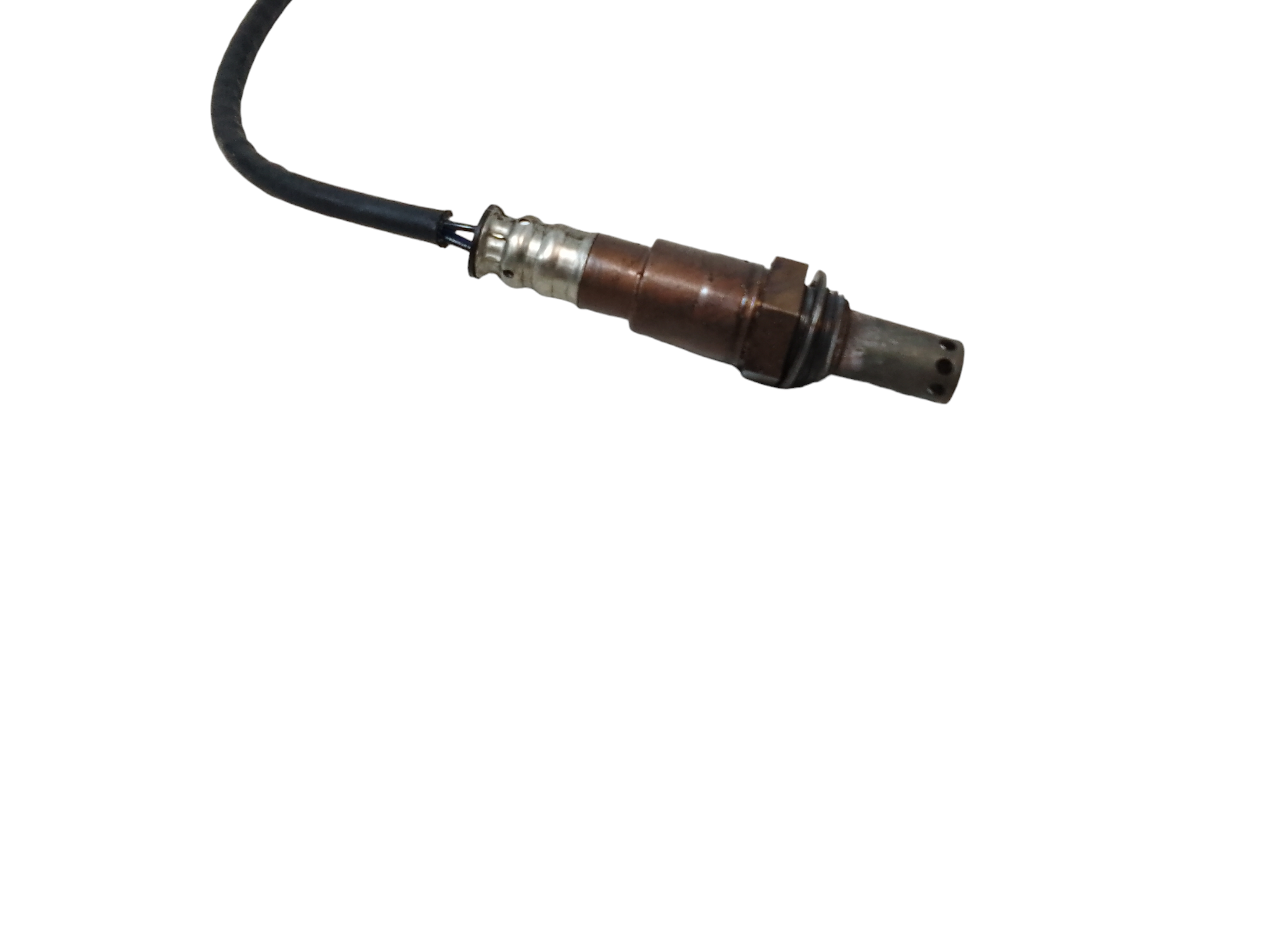 Sonda Lambda per Volkswagen Golf Serie Viii (19>) (2019 - In produzione)