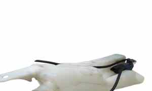 Vaschetta Tergi ant per Renault Clio Serie (04>08) (2004 - 2008)