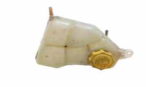 Vaschetta liquido radiatore per Ford Fiesta 5 Serie (2005 - 2008)