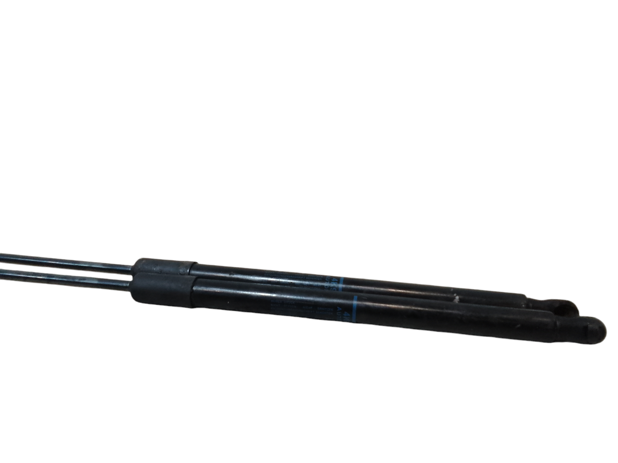 Pistoncini cofano Post. per Audi A6 Berlina (C8) (2018 - )