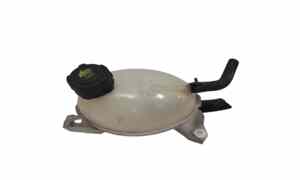 Vaschetta liquido radiatore per Renault Captur Serie (2013 - In produzione)