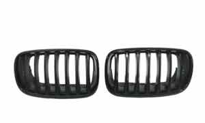 Griglia Anteriore per Bmw X6 E71 1 Serie (2008 - 2014)