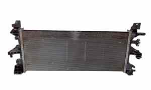 Radiatore acqua per Peugeot Boxer 4 Serie (2011 - In produzione)