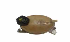 Vaschetta liquido radiatore per Renault Captur Serie (2013 - In produzione)