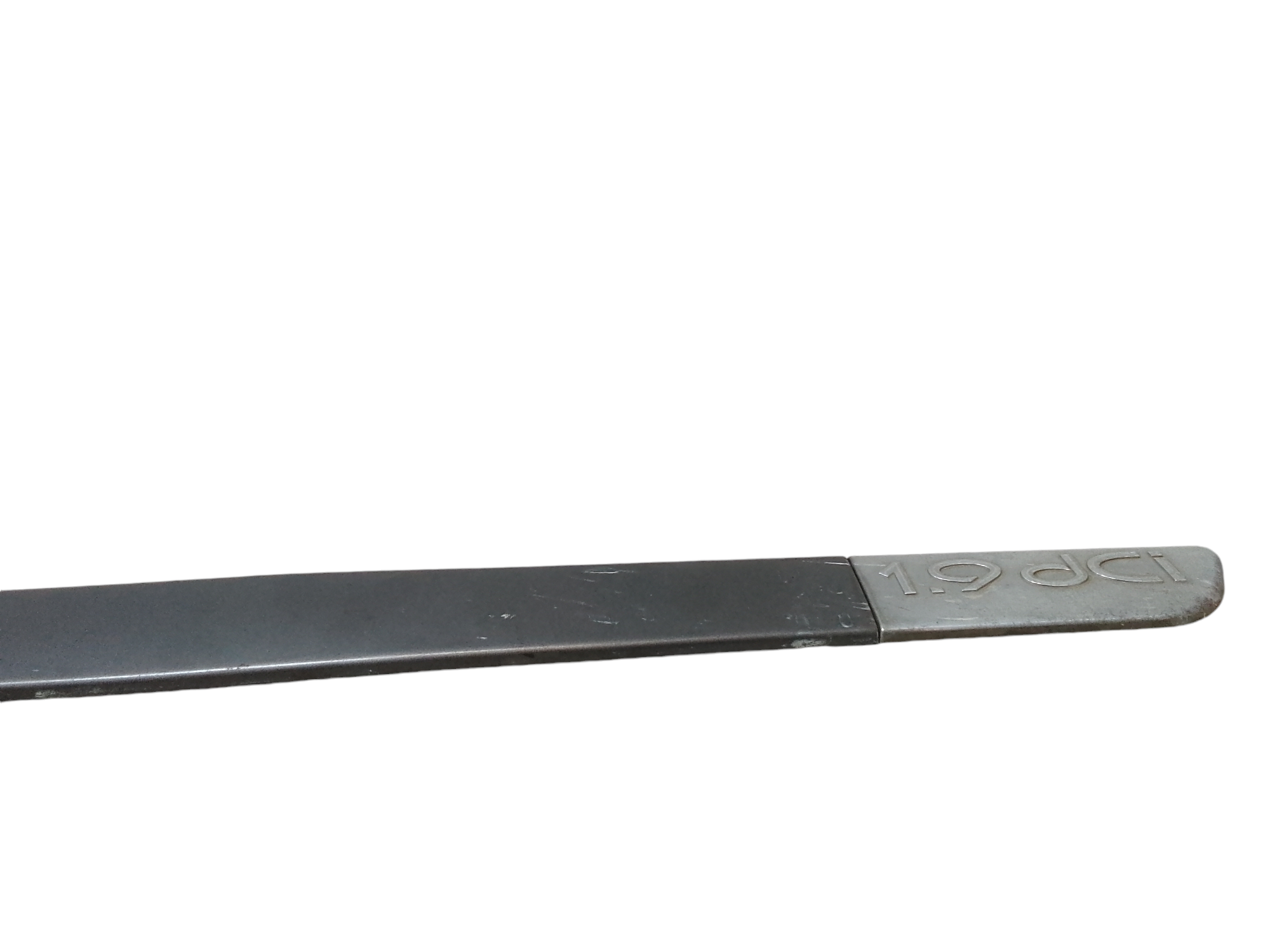 Modanatura porta ant DX passeggero per Renault Scenic Serie (03>09) (2003 - 2009)