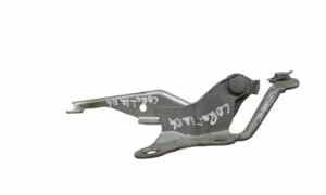 Cerniera cofano anteriore SX per Toyota Corolla Berlina 3 Serie 3-5p (2002 - 2004)